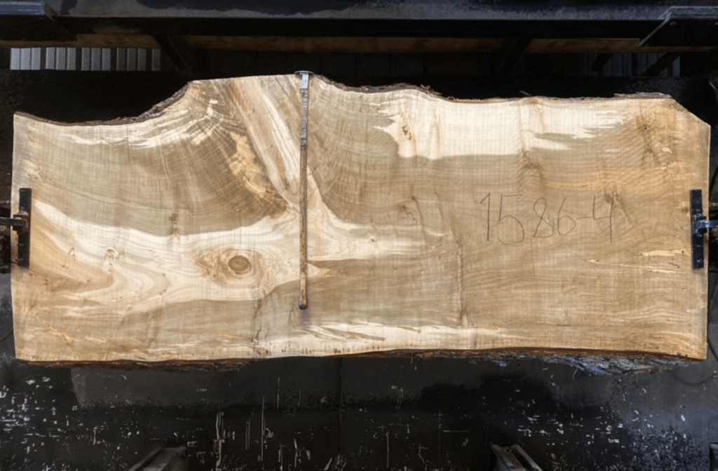 A large, rectangular slab of raw, splated wood secured with black clamps on both sides. The surface is rough with visible wood grain patterns, knots, and some uneven edges. A metallic rod lies diagonally across the wood, with the number "158649" faintly marked on it.